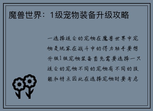 魔兽世界：1级宠物装备升级攻略