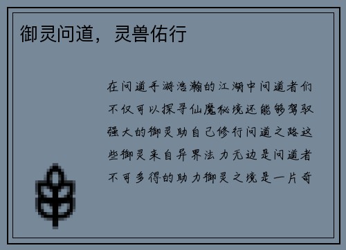 御灵问道，灵兽佑行